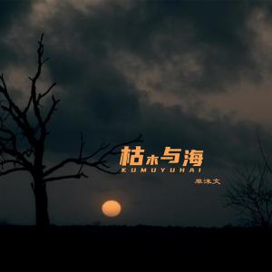 收听零柒零一的枯木与海 (完整版)歌词歌曲