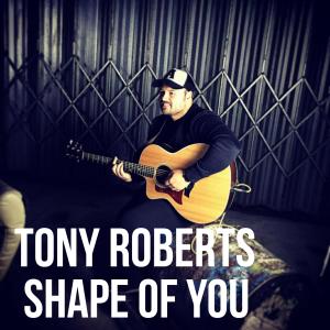 Listen to Shape of You song with lyrics from Tony Roberts