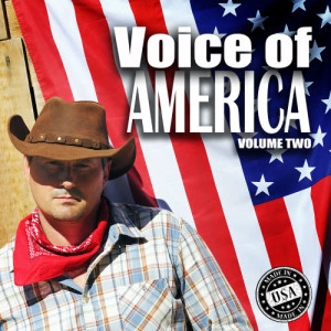 Various Artists的專輯Voice of America, Vol. 2