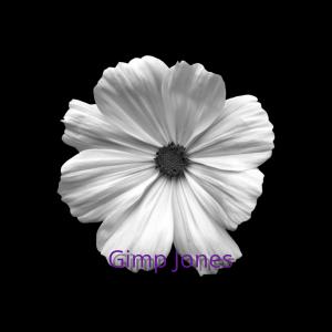 收聽Gimp Jones的Bloom歌詞歌曲