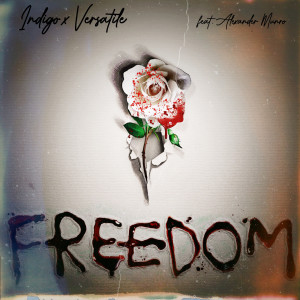 Album Freedom oleh Versatile