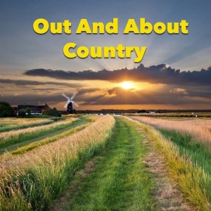 Listen to Midnight Weeping Blues song with lyrics from Nellie Florence