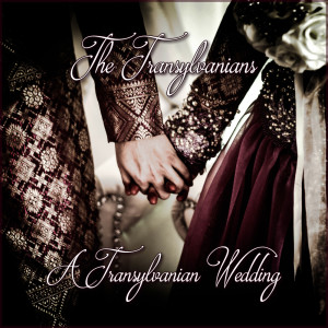 ดาวน์โหลดและฟังเพลง Marry Me (Explicit) พร้อมเนื้อเพลงจาก The Transylvanians
