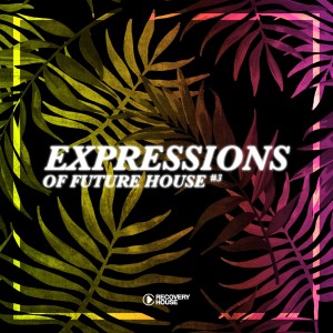 Album Expressions Of Future House, Vol. 3 from Various Artists