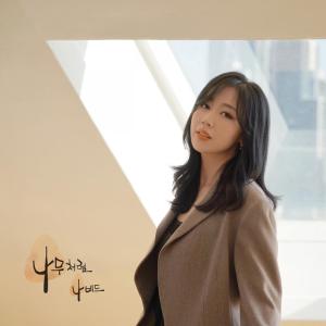 Listen to 나무처럼 (Like a Tree) (Inst.) song with lyrics from Navid