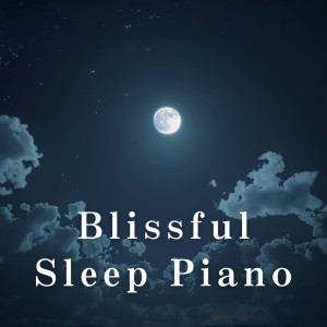Dengarkan Resting Under Night's Veil lagu dari Relaxing BGM Project dengan lirik