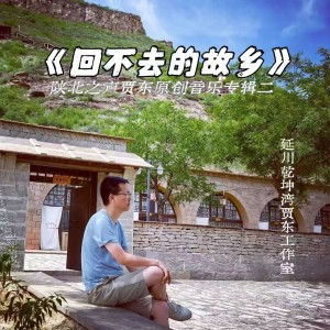 Album 回不去的故乡 from 王雅宁
