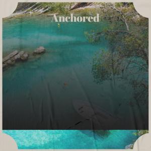 Various的专辑Anchored