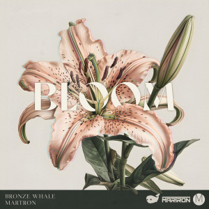 Album Bloom oleh Bronze Whale