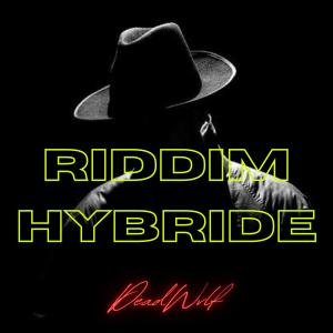Listen to Riddim Hybride song with lyrics from DeadWvlf
