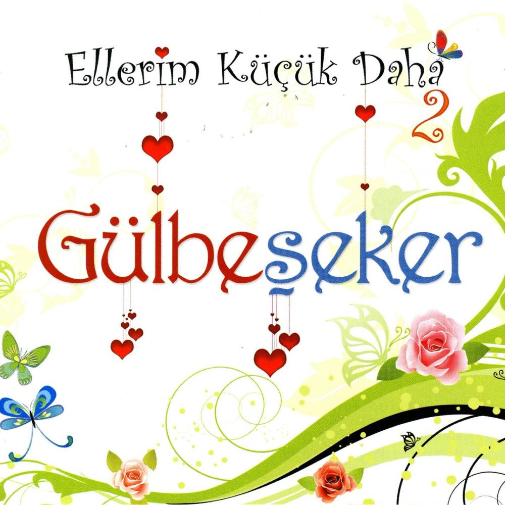 Hocam?z ?ark?s?(Enst.)