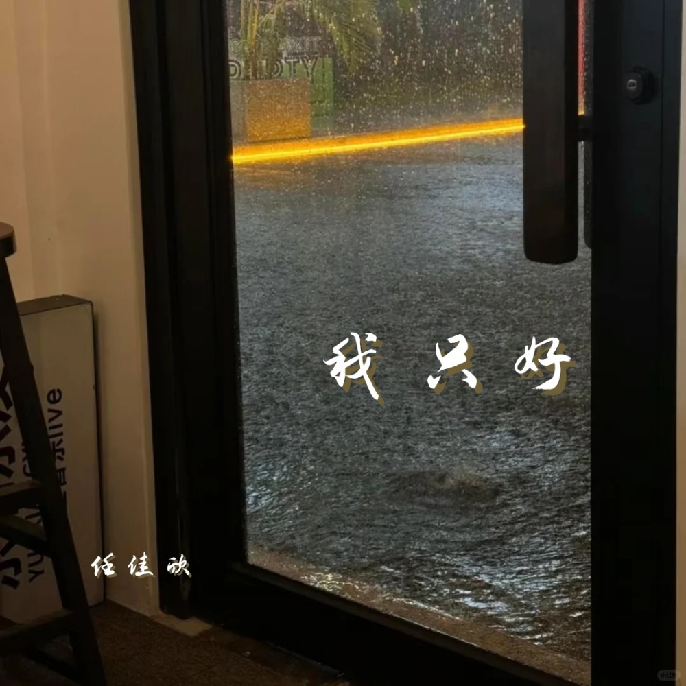 我只好 (伴奏)