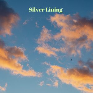 收聽Motoko Bando的Silver Lining歌詞歌曲