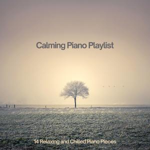 Robin Mahler的專輯Calming Piano Playlist: 14 Relaxing and Chilled Piano Pieces