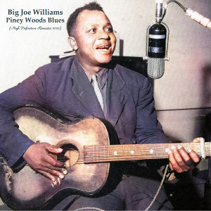 Album Piney Woods Blues (High Definition Remaster 2022) from Big Joe Williams
