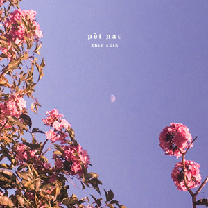 Listen to Thin Skin song with lyrics from Pèt Nat