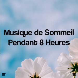 Healing Chakra Collective的专辑!!!" Musique de sommeil pendant 8 heures "!!!