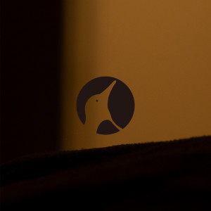 Album ELECTROLYTES from QUARAW