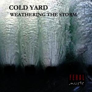 อัลบัม Weathering The Storm ศิลปิน Cold Yard