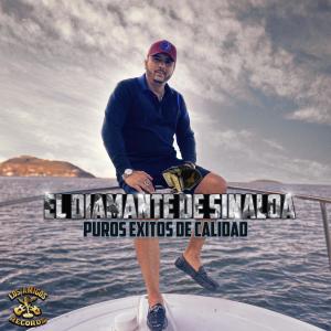 ดาวน์โหลดและฟังเพลง Las Uvas พร้อมเนื้อเพลงจาก Ramon Antonio El Diamante De Sinaloa