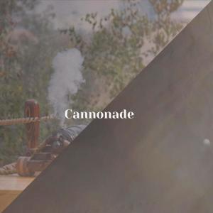 收听Homy Deli的Cannonade歌词歌曲