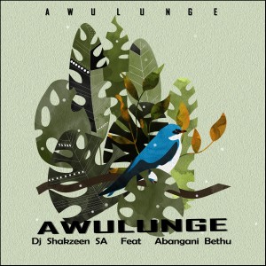 Dj Shakzeen SA的專輯Awulunge (Explicit)