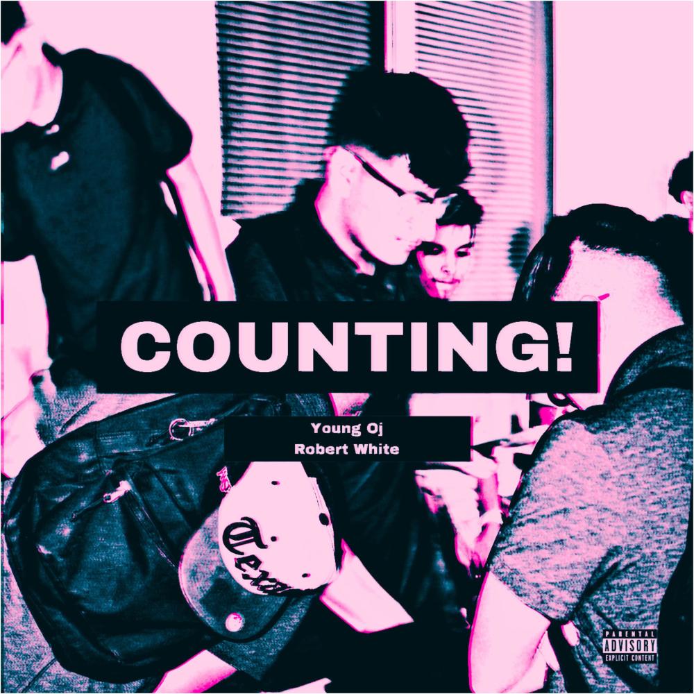 COUNTING! (feat. Robert White) (Explicit)