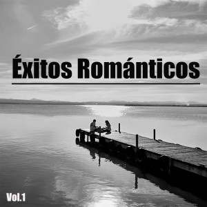Album Éxitos Románticos Vol.1 oleh Various