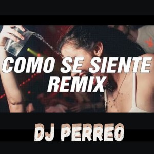 ดาวน์โหลดและฟังเพลง Como Se Siente (Remix) พร้อมเนื้อเพลงจาก Dj Perreo