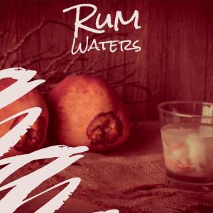 Album Rum Waters from Various