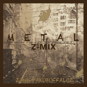 METAL (REMIX) dari SHAKU