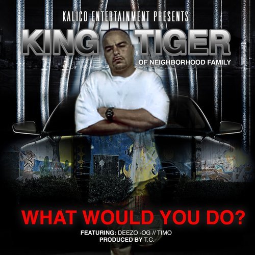 What Would You Do? (feat. Deezo & Timo) (Explicit)