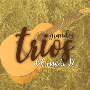 Listen to La Basura song with lyrics from Trío Avileño