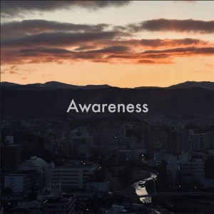 Album Awareness (2024 Remastered) from MEME
