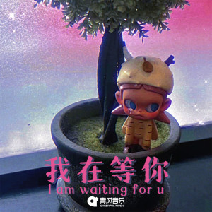Album 我在等你 from MIKO
