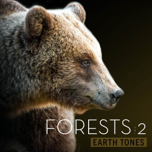 Earth Tones: Forests Vol 2