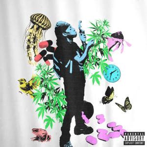 TempTimeRadio的專輯Roxies (feat. Polo Youngin, DJ BLAT & Evergrowth) [Explicit]