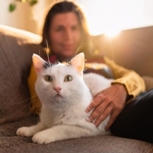 ดาวน์โหลดและฟังเพลง Patas Armónicas Suaves พร้อมเนื้อเพลงจาก Musica Relajante de Guitarra Ritmos