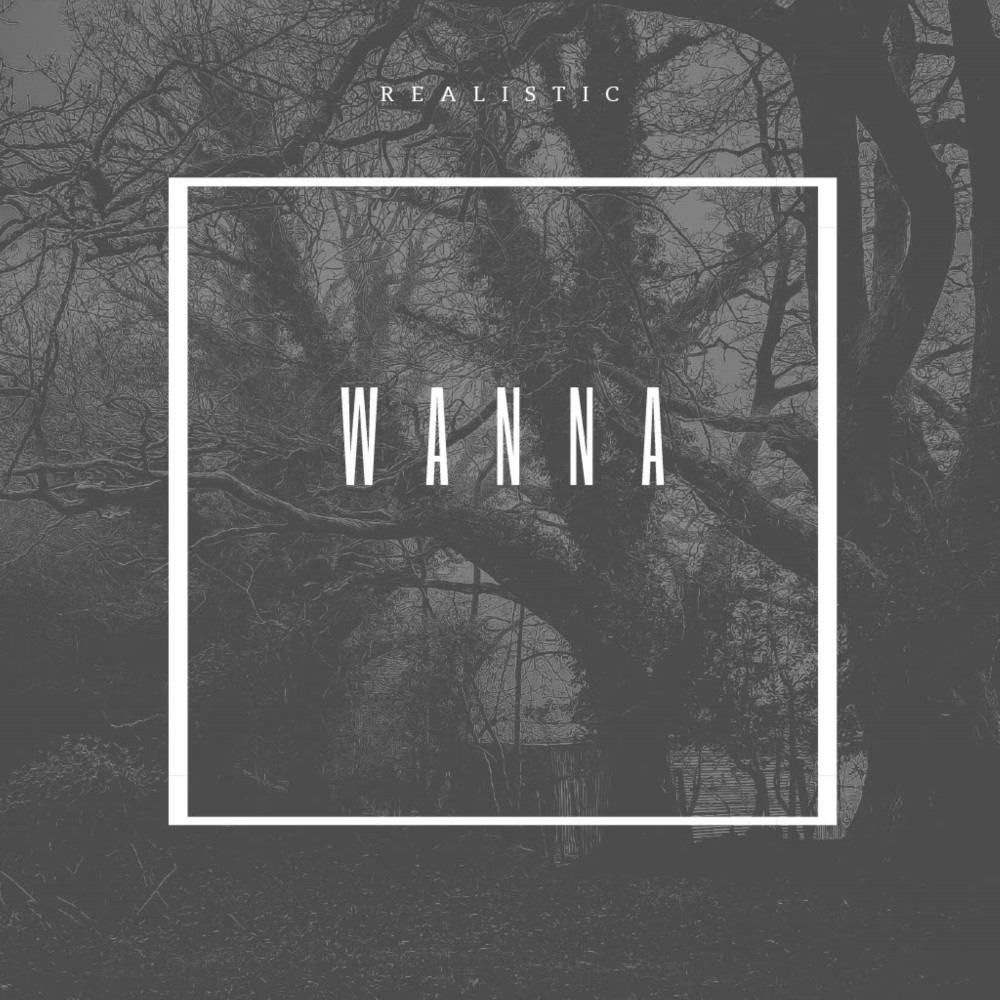 Wanna (Explicit)