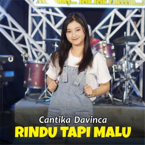 Listen to Rindu Tapi Malu song with lyrics from Cantika Davinca