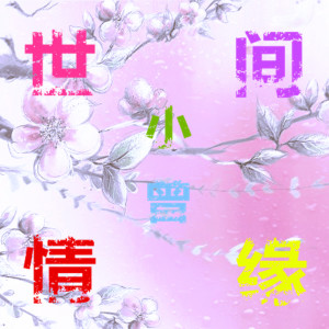 小曾的专辑世间情缘