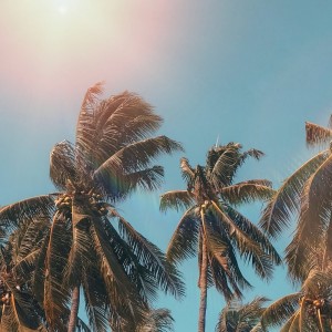 Album Sunset Island oleh Conkarah