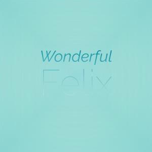 Listen to Wonderful Felix song with lyrics from Linna Thando