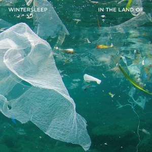 ดาวน์โหลดและฟังเพลง Into the Shape of Your Heart พร้อมเนื้อเพลงจาก Wintersleep
