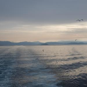 收聽Stala的To Stoixima歌詞歌曲