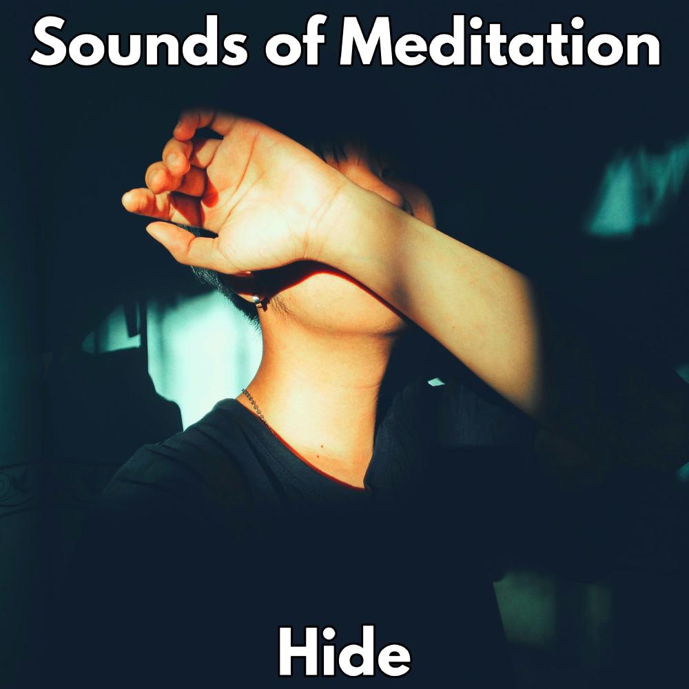 Hide