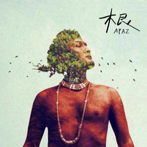 ดาวน์โหลดและฟังเพลง Aiyanga (Español Remix) 誰能了解我的心 (西文版) [feat. Kivi Pasulivai, Fer Sánchez] (西文版|Español Remix|谁能了解我的心) พร้อมเนื้อเพลงจาก 舞炯恩