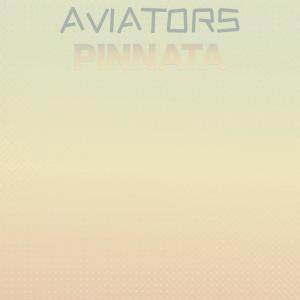 Listen to Dissatisfied Variety song with lyrics from Reyk Agata