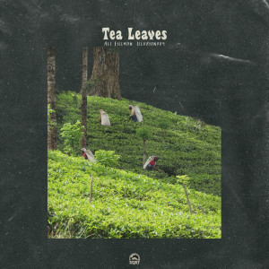 ดาวน์โหลดและฟังเพลง Tea Leaves พร้อมเนื้อเพลงจาก Ale Fillman