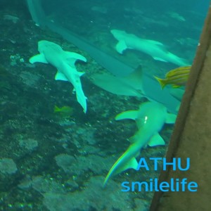 Athu的專輯smilelife